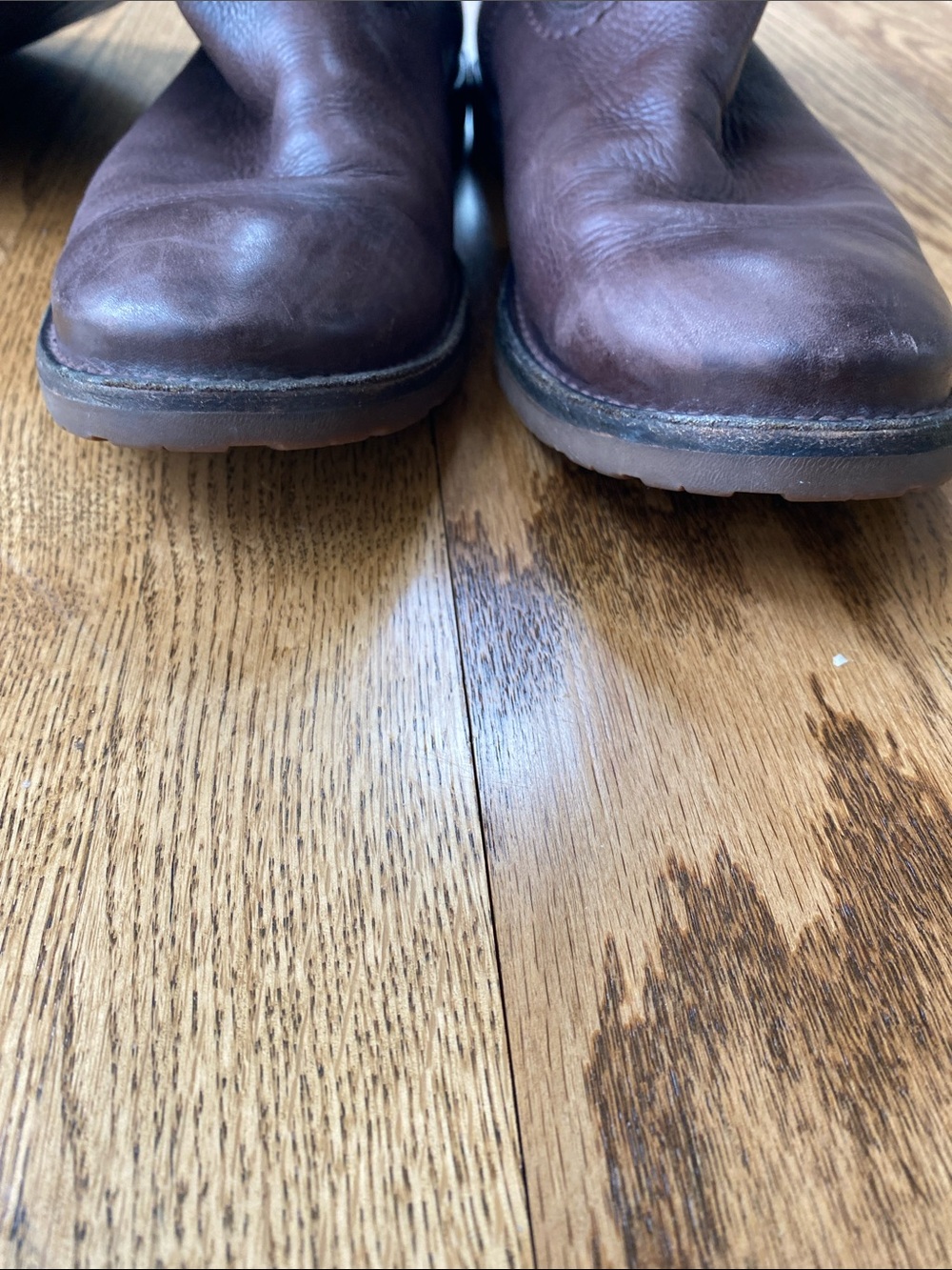 Frye size 10 Celia X stitch tall riding boots dark brown leather pull on - Picture 9 of 16